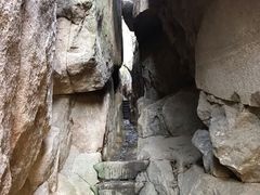 -鲁山国家森林公园