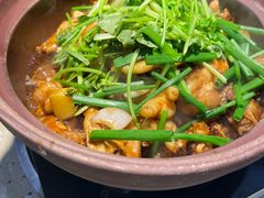 干逼炭炉鸡煲-顺德家厨(白云店)