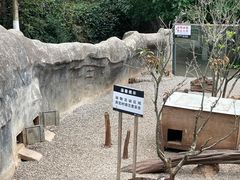 -昆明动物园