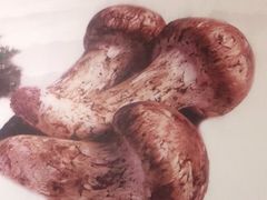 -阿鹏故事野生菌火锅(双廊古镇店)
