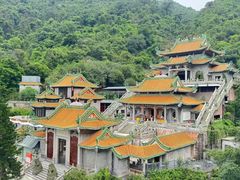 -南海湾森林生态园