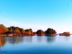 -贡湖湾湿地公园
