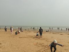 -日照海滨国家森林公园