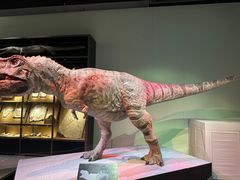 -香港科学馆