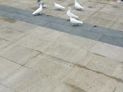 -大鹏佳兆业广场