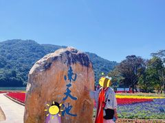 -广州市石门国家森林公园