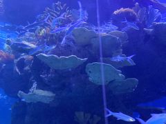 -多彩贵州城极地海洋世界