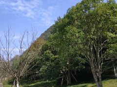 -贵阳市花溪国家城市湿地公园