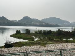 -立新湖公园
