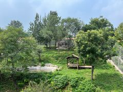 -石家庄市动物园