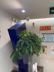 -木北造型