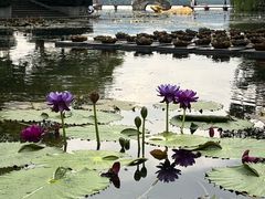 -西湖天地
