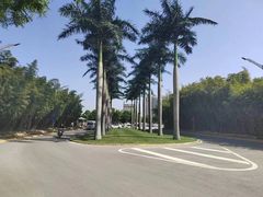 -长安先导国际创新人才交流中心(爱琴海温泉店)