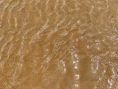 -日照海滨国家森林公园