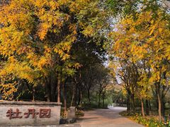 -廊坊市自然公园