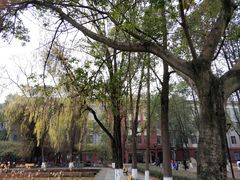 -四川大学(望江校区)