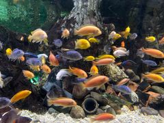 -太平洋海底世界