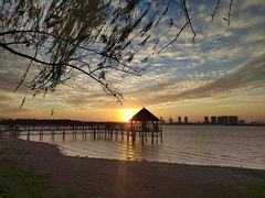 -瑶湖郊野森林公园