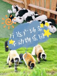 -萌宠亲子动物乐园(槐房万达店)