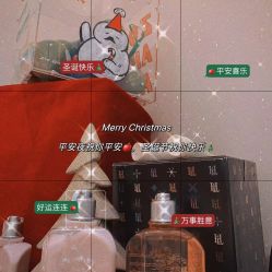 -紫御国际抗衰ZOE ANTI AGING