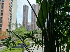 -大头椰·椰子鸡火锅(南宁万象城店)