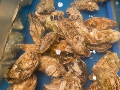 -火舞泰·泰式海鲜火锅餐厅(世纪城店)