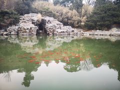 -香山公园