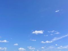 -枸杞岛