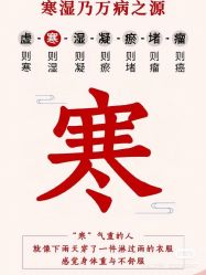 -香薇妮丝女子减肥院