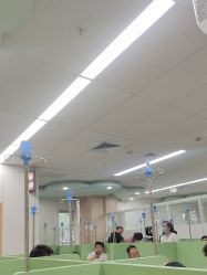 -上海交通大学医学院附属上海儿童医学中心(陆家嘴总院区)