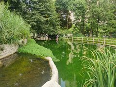 -成都市活水公园