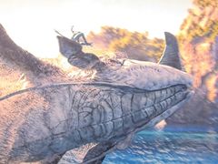 -寰映影城(朝阳合生汇杜比影院店)