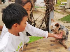 -安德鲁户外烧烤帐篷营地(马泉营店)