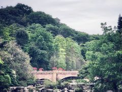 -云溪植物园