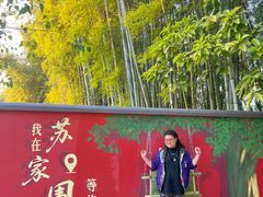 -苏家围·东江画廊旅游景区