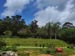 -广州市白云山风景名胜区