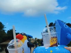 -珠海长隆海洋王国