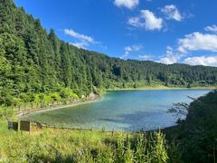 -武陵山森林公园