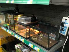 -米卢宠物公园(广华居店)