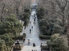 -灵谷景区