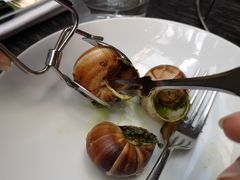 -金蜗牛