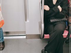 -东方体育中心(地铁站)
