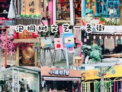 -泡桐树街