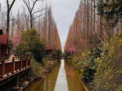 -上海怡沁园度假酒店