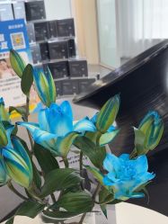 点击看大图 -春田皮肤管理中心品牌旗舰店