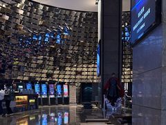 -武商摩尔影城(国广IMAX激光店)
