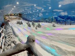 -世界之窗阿尔卑斯冰雪世界