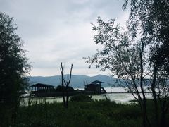 -才村湿地公园