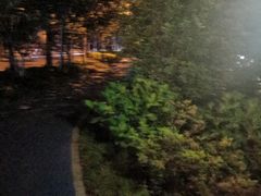 -苏州河梦清园环保主题公园