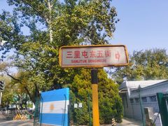 -三里屯东五街银杏大道